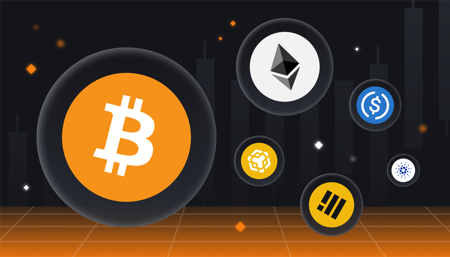 Vector Image